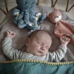 Hoera! Wilco is geboren!