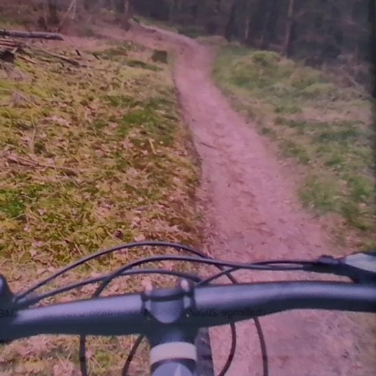 I want to ride my bicycle...