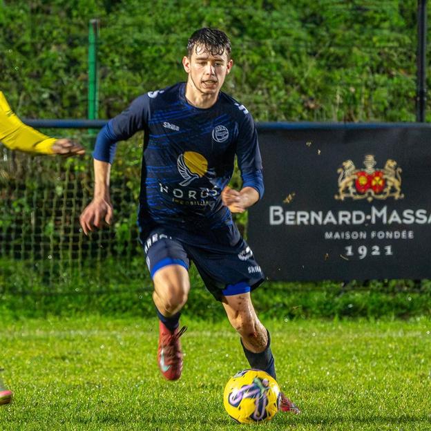 David Goes Gold 💛🦁