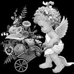 A notre étoile Ally