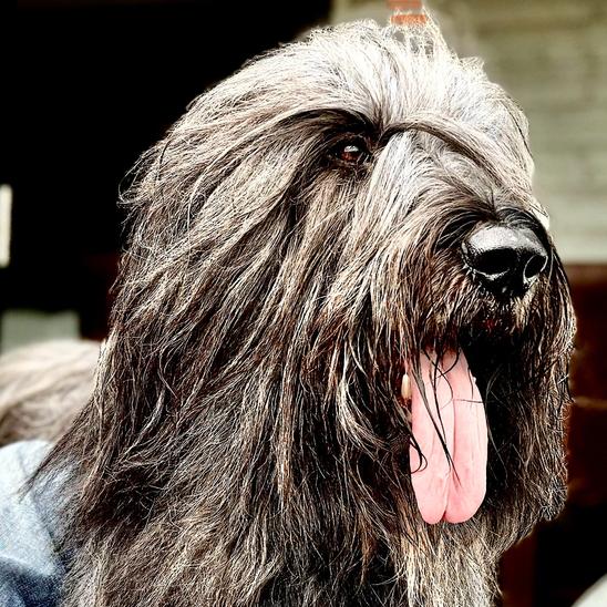 On the road with APACHE & the cancer kids