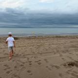 Walk the path for Leo