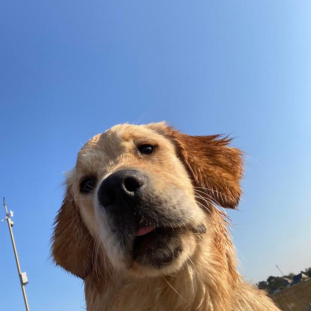 Les Caillettes - Mel