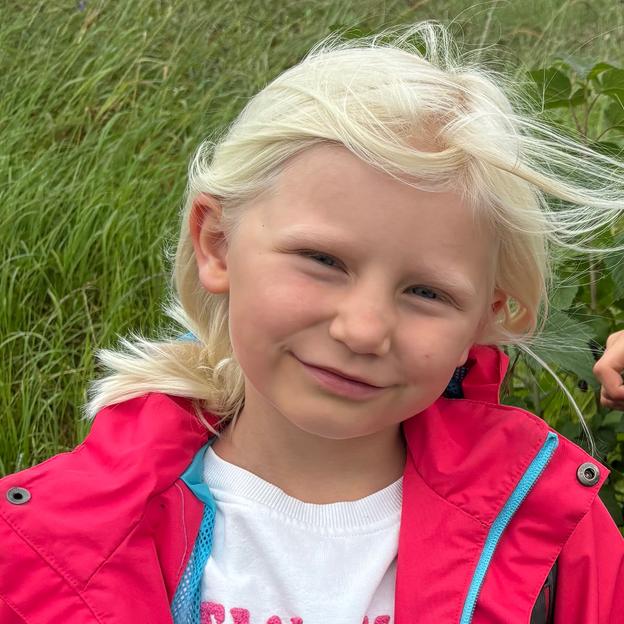 Small Steps, Big Hopes