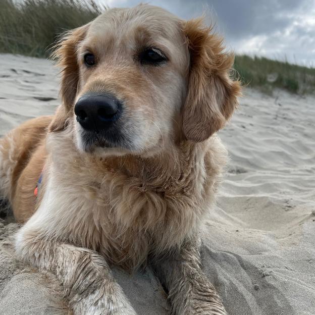 Emmer erem zesummen fir d’Recherche