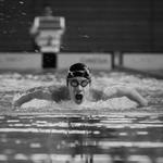 Yanis LETZ GO GOLD