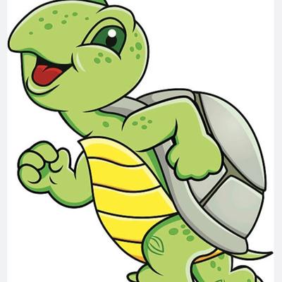 Las tortugas del Montse