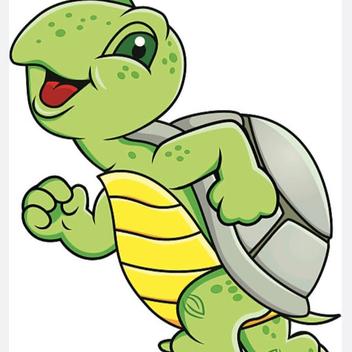 Las tortugas del Montse