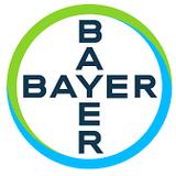 Team Bayer
