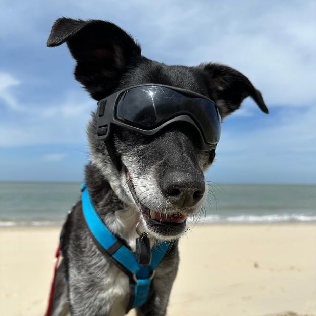 Let’s run with hearts wide open, for every little fighter out there.