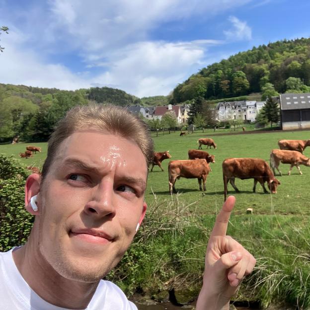 Maxime le petit cochon goes Gold