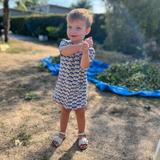 Kleine ster, grote kracht