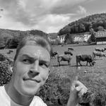 Maxime le petit cochon goes Gold