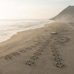 Deelname Timothy MDS 120 Peru in memoriam Alizée