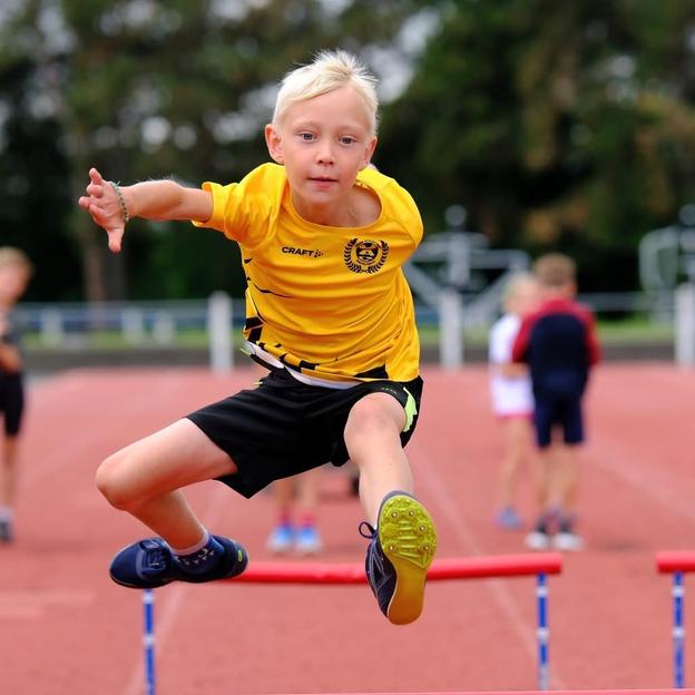clément pour la team. Crapaux