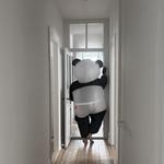 Panda daddy
