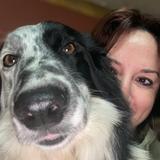 CORRE POR LA INVESTIGACION