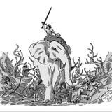 Camille 🐘🧗‍♀️🦸‍♀️