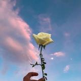 Courir pour ceux qui ne peuvent plus le faire. ✨🦋❤️