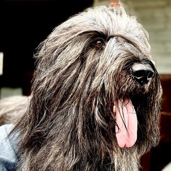 On the road with APACHE & the cancer kids