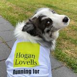 HL Sport dans la ville