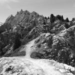 Quelques pas pour une grande cause : aider les enfants qui ont un cancer