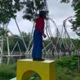Spider T