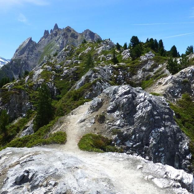 Quelques pas pour une grande cause : aider les enfants qui ont un cancer