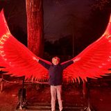 Marcel the phoenix 🐦‍🔥