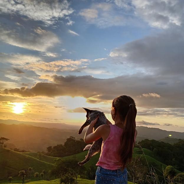Flor court avec Petit Loup