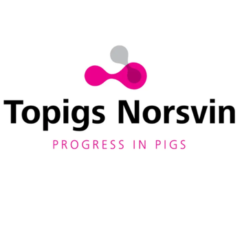 Topigs Norsvin