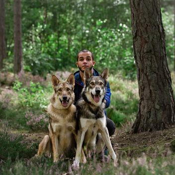 Wolfdogs spirit