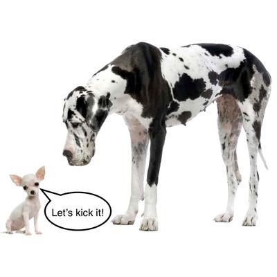 Blue Kids vs The Wall 2