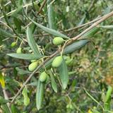 Zesummen eppes beweegen