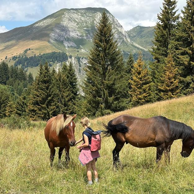 Go go go, we'll fight