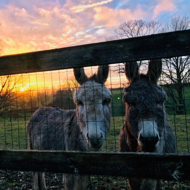 Victoria runs to kick