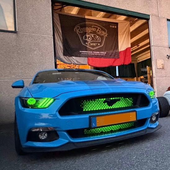 Romagna Boys Luxembourg_Blue Mustang