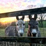 run with Jean-Yves & Michel around the block