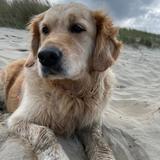 Emmer erem zesummen fir d’Recherche