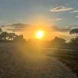 Juntos por uma só luta  a Vida