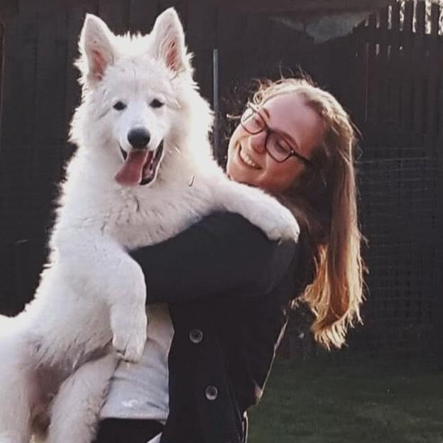 Cancer? We knock you out