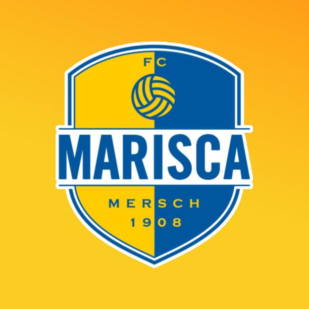 FC Marisca for Louis💛💙