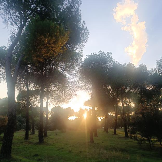 En marcha contra el cancer