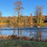 The Incredibles for 101 Genomes