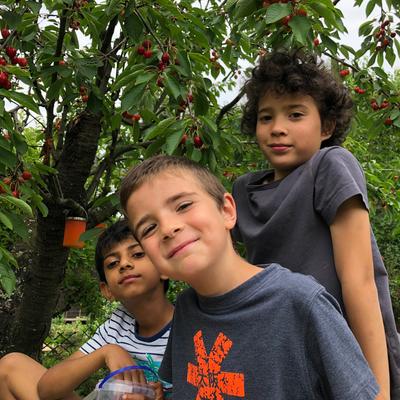 Forever together AGS