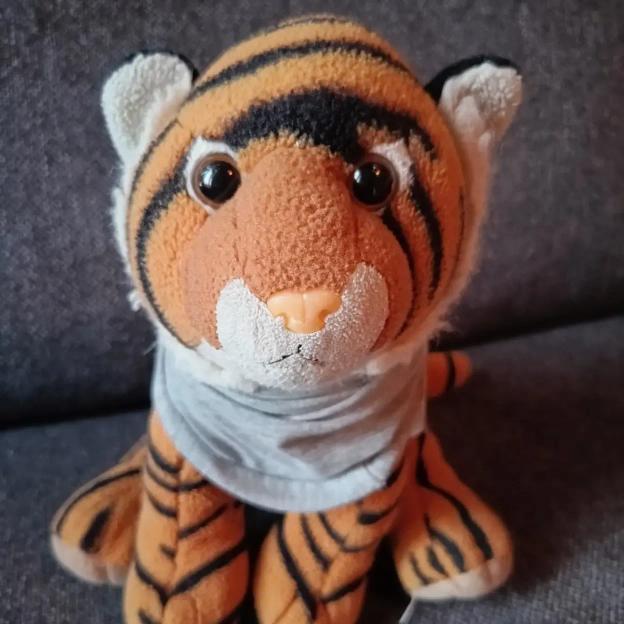 Kick cancer!🐯 - Casper