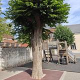 Les instits de Feluy