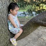 Team Alice - Le Papa