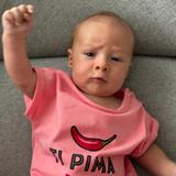 Petit Mousquetaire 🐙