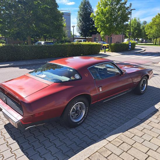 Drive for life in a Firebird